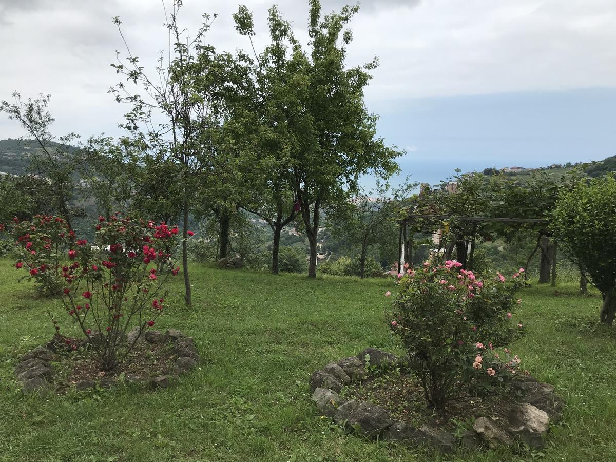 Sea & Nature Villa Hisar Трабзон Екстериор снимка