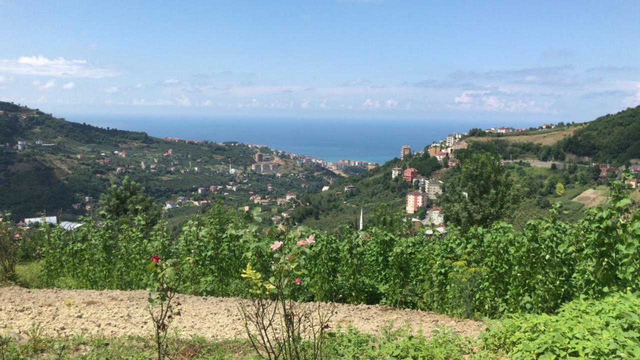 Sea & Nature Villa Hisar Трабзон Екстериор снимка