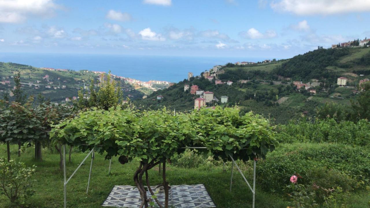 Sea & Nature Villa Hisar Трабзон Екстериор снимка